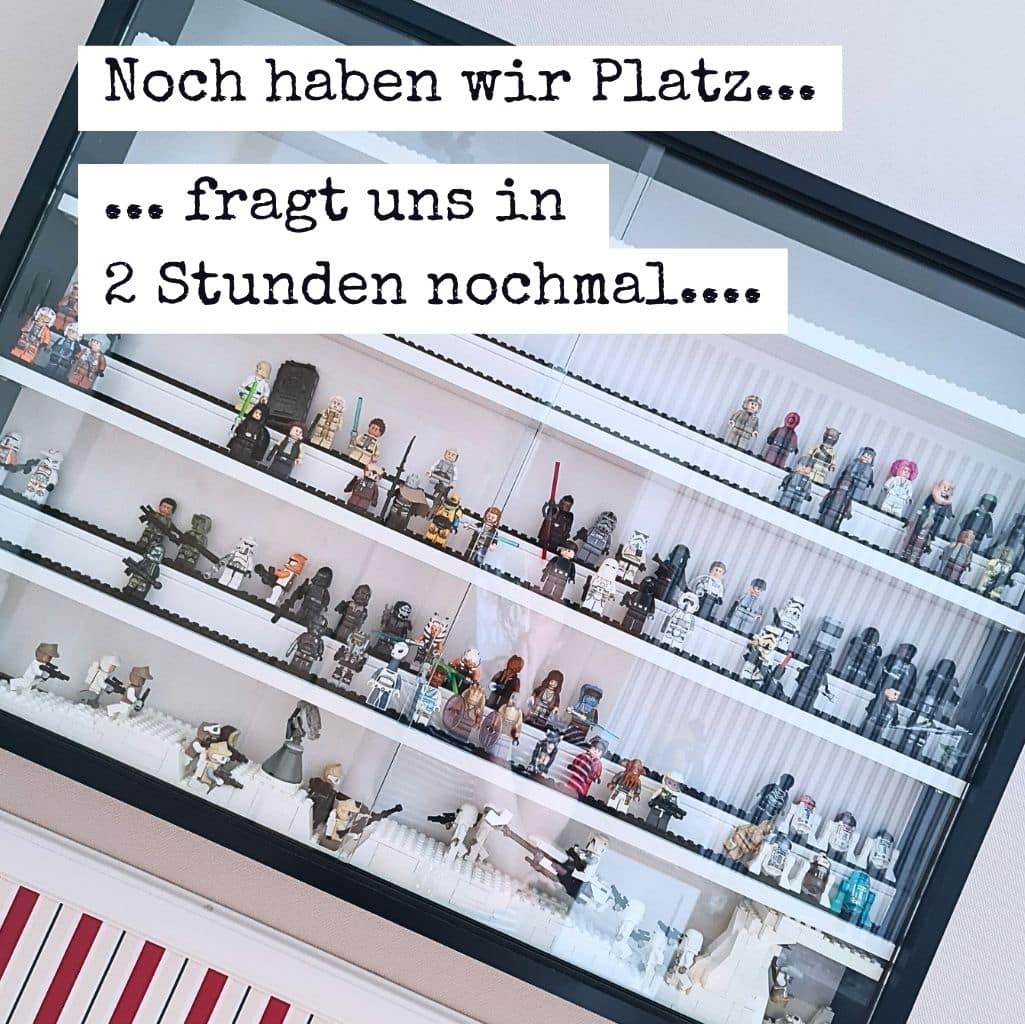 Platz für viele Minifiguren in der Vitrine